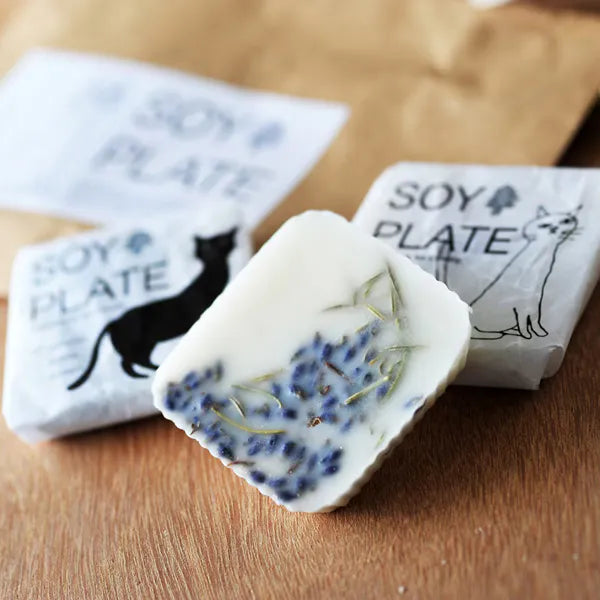 SOY PLATE