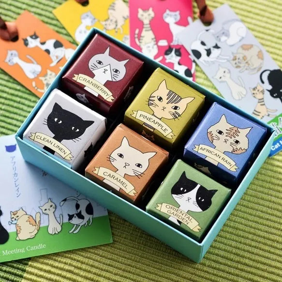 猫会議