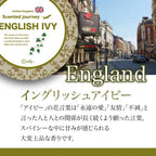 Scented journey Candle/香りで旅するキャンドル