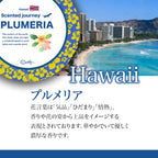 Scented journey Candle/香りで旅するキャンドル