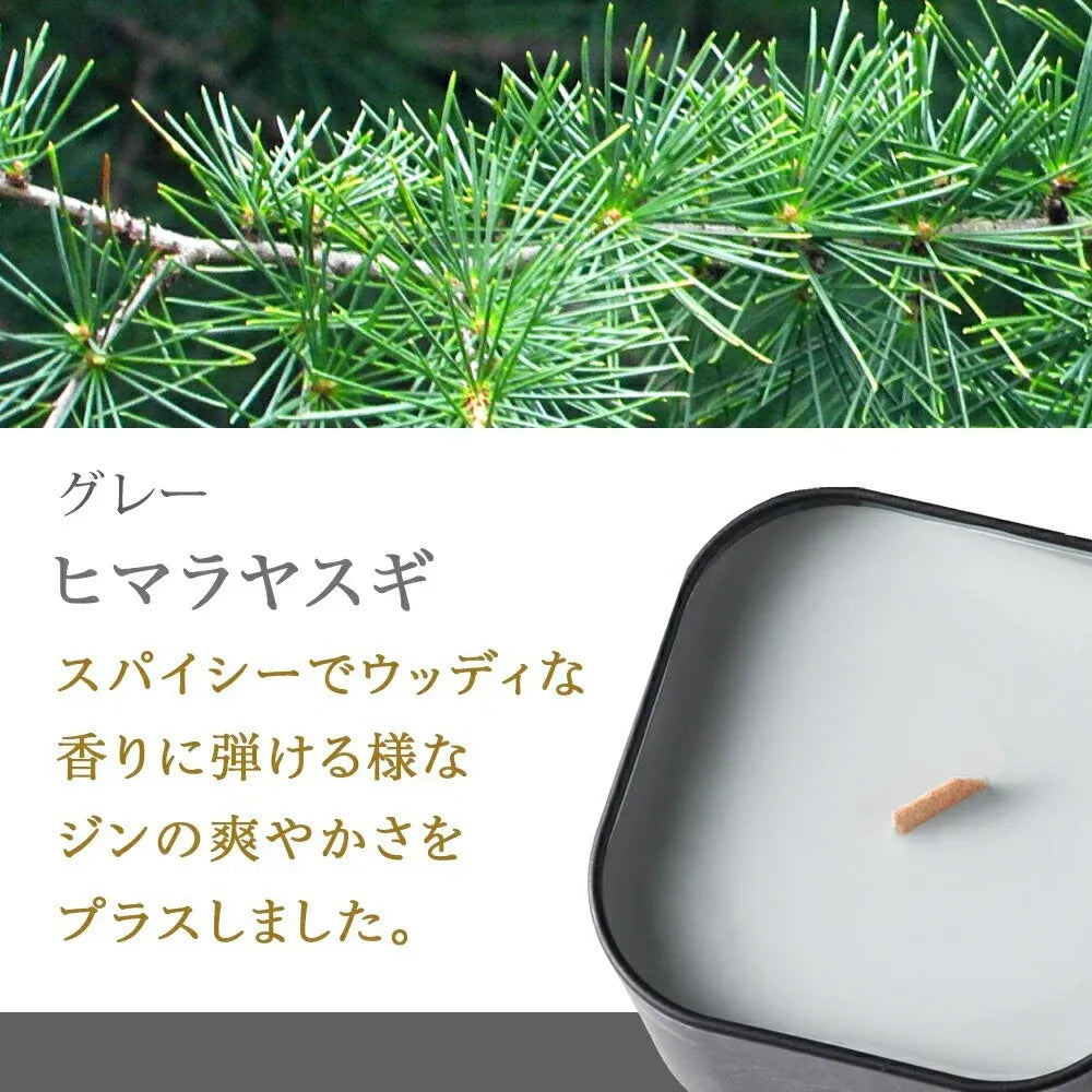 PACHITTO（小さな焚き火） | 木芯のソイキャンドル