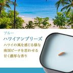 PACHITTO（小さな焚き火） | 木芯のソイキャンドル