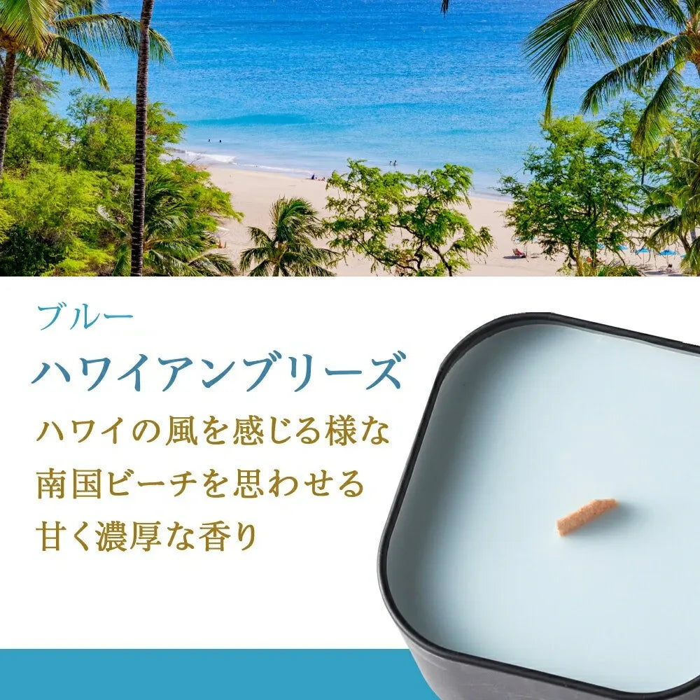 PACHITTO（小さな焚き火） | 木芯のソイキャンドル