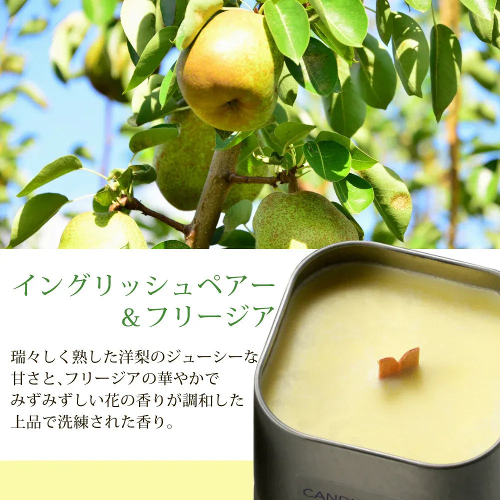 フレグランス PACHITTO（小さな焚き火） | 木芯のソイキャンドル