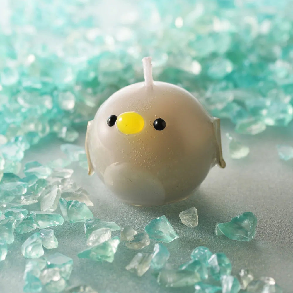 すべての商品 - Candly